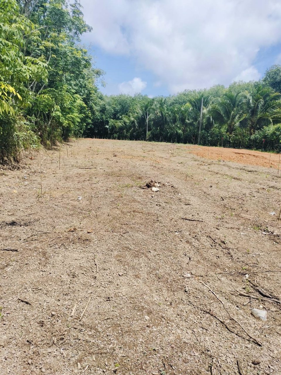 ขายที่ดินแปลงสวย-ถลาง