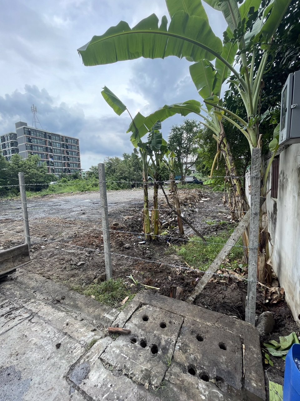 ขายที่ดินแปลงสวยสี่เหลี่ยมผืนผ้า-ขนาด-200-ตารางวา