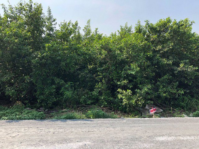 253-011-ให้เช่า-ที่ดิน-แถวบางบัวทอง-เส้นถนนไทรน้อย-บางบัวทอง-20000-บาท