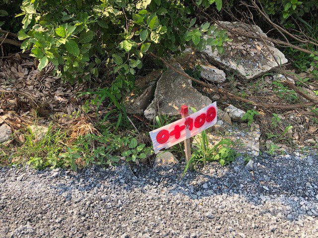 253-011-ให้เช่า-ที่ดิน-แถวบางบัวทอง-เส้นถนนไทรน้อย-บางบัวทอง-20000-บาท