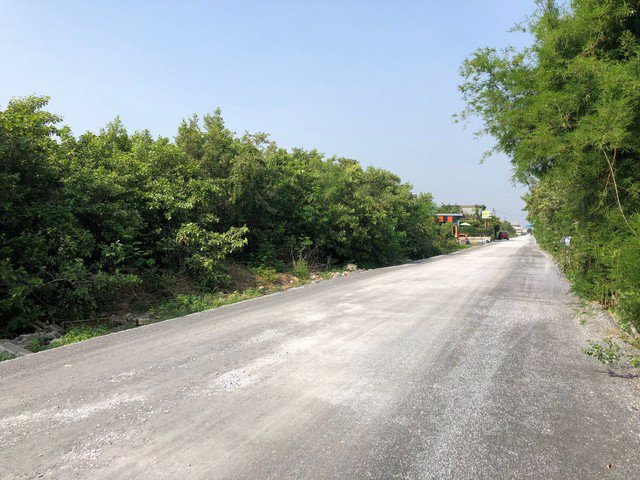 253-011-ให้เช่า-ที่ดิน-แถวบางบัวทอง-เส้นถนนไทรน้อย-บางบัวทอง-20000-บาท