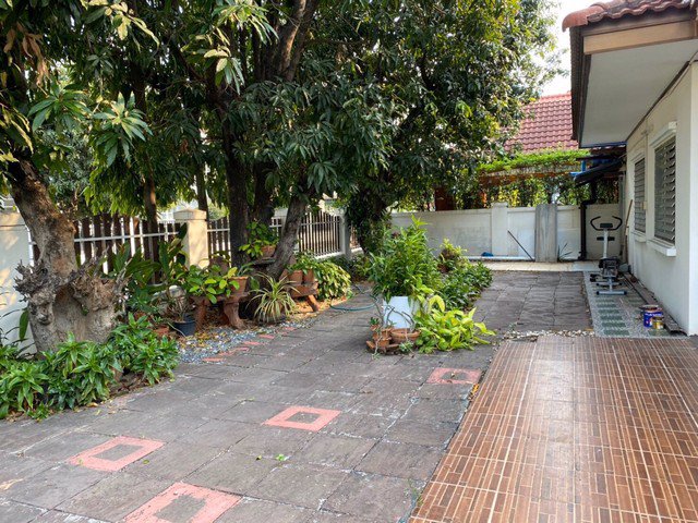 255-026-ให้เช่า-หมู่บ้านยิ่งรวยนิเวศน์-ประชาชื่น-แจ้งวัฒนะ-25000-บาท