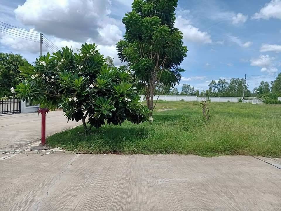 ด่วน-แปลงสุดท้าย-ถูกกว่านี้-ไม่มีอีกแล้ว-ขายที่ดินเปล่า-โครงการแกรนวิลด์-ห้วยน้ำใส-อ-เมืองกาญจนบุร