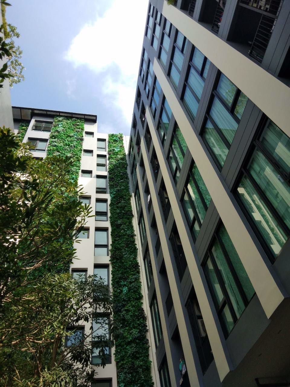 ขายคอนโดใกล้-bts-แบริ่ง-321-ตรม-1ห้องนอน-ชั้น-7-วิวดีมาก-ใหม่-น่าอยู่-ขายด่วน-ราคาถูก