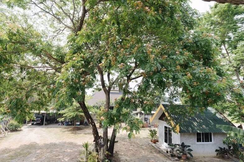 ขายบ้าน-เนื้อที่-371-ตรว-ตหนองผึ้ง-อสารภี-จเชียงใหม่