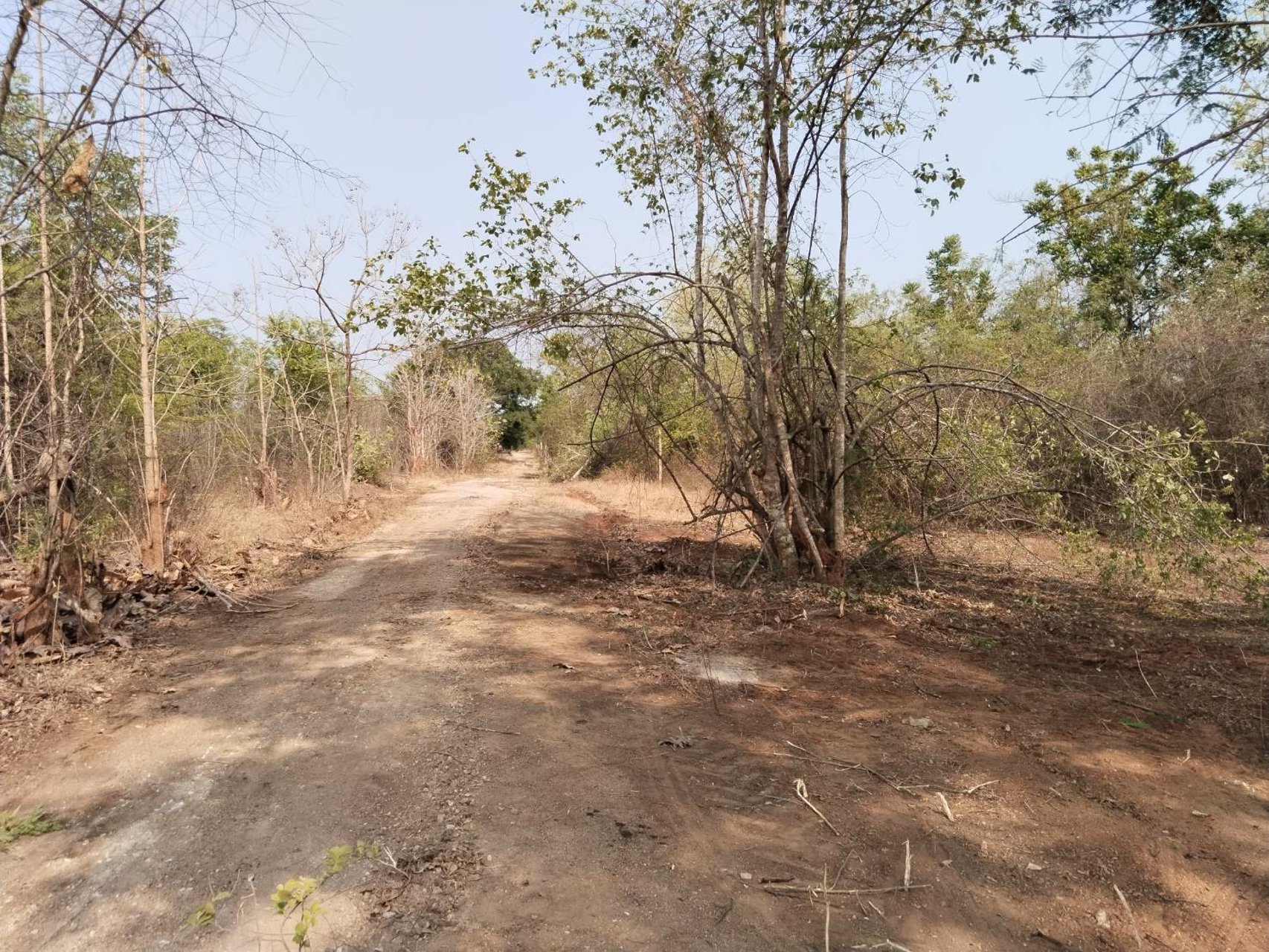 ขายด่วน-ที่ดิน-3-แปลง-อําเภอจอมทอง-จังหวัดเชียงใหม่