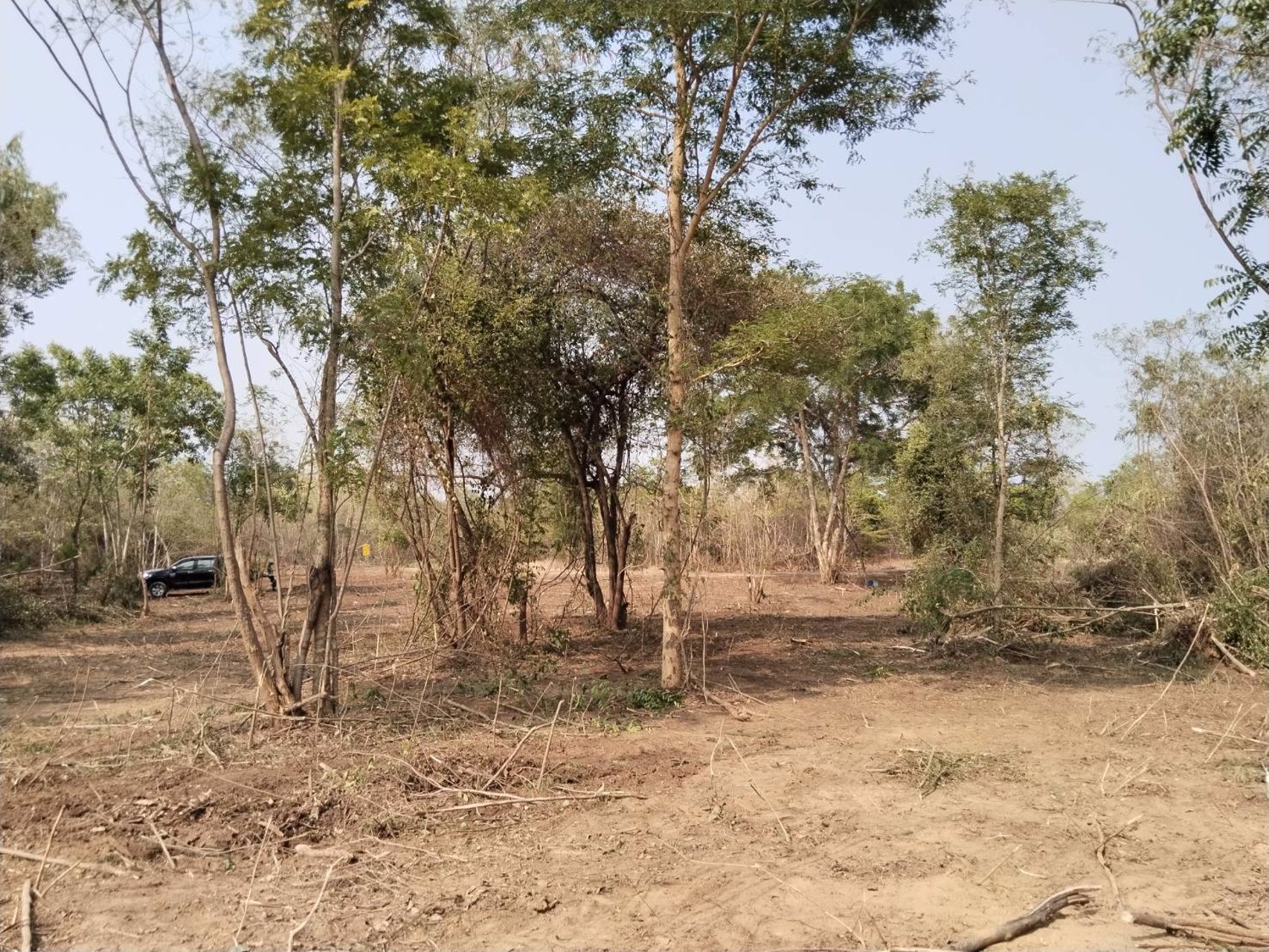 ขายด่วน-ที่ดิน-3-แปลง-อําเภอจอมทอง-จังหวัดเชียงใหม่