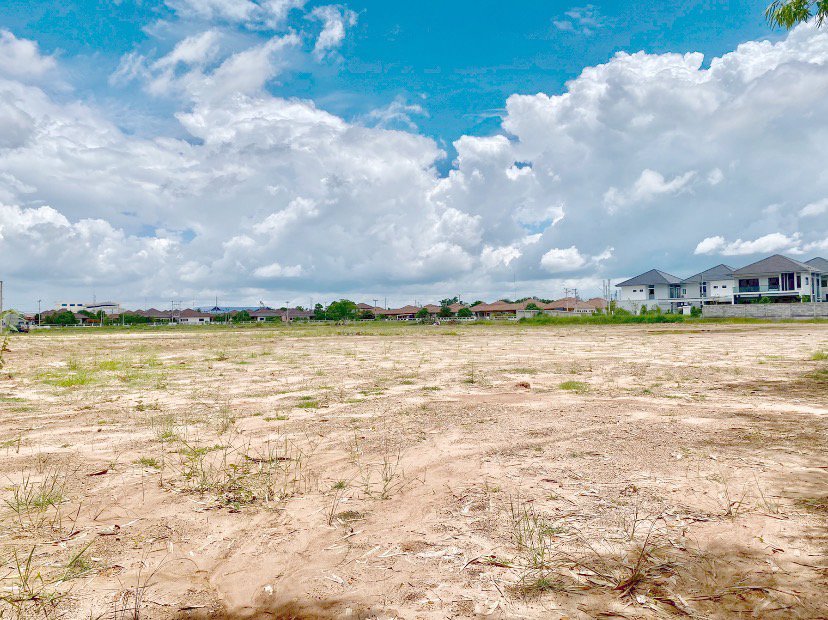 ขายที่ดิน-บ้านโนนใบบัว-เขตเทศบาล-อบัวใหญ่-จนครราชสีมา