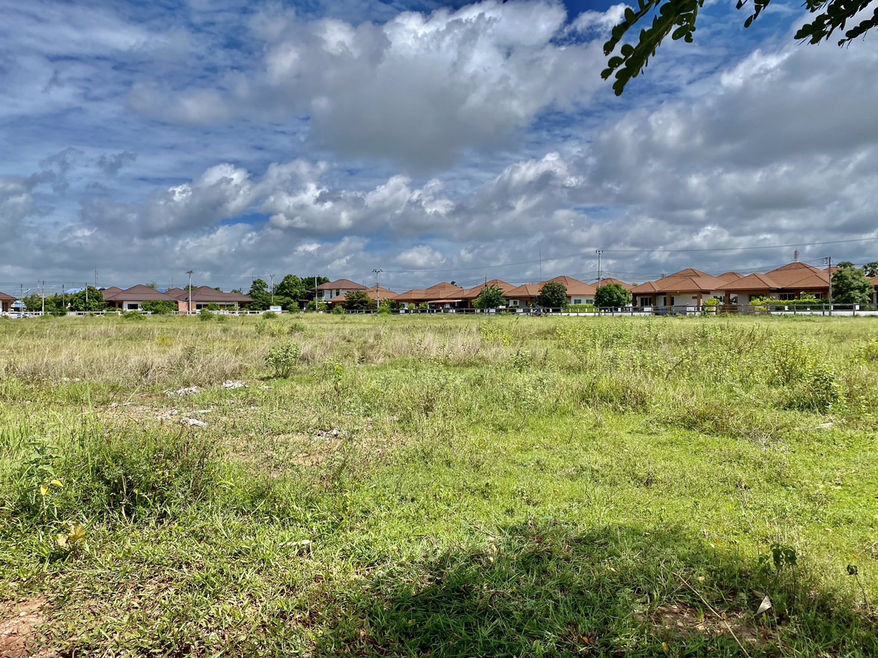 ขายที่ดิน-บ้านโนนใบบัว-เขตเทศบาล-อบัวใหญ่-จนครราชสีมา