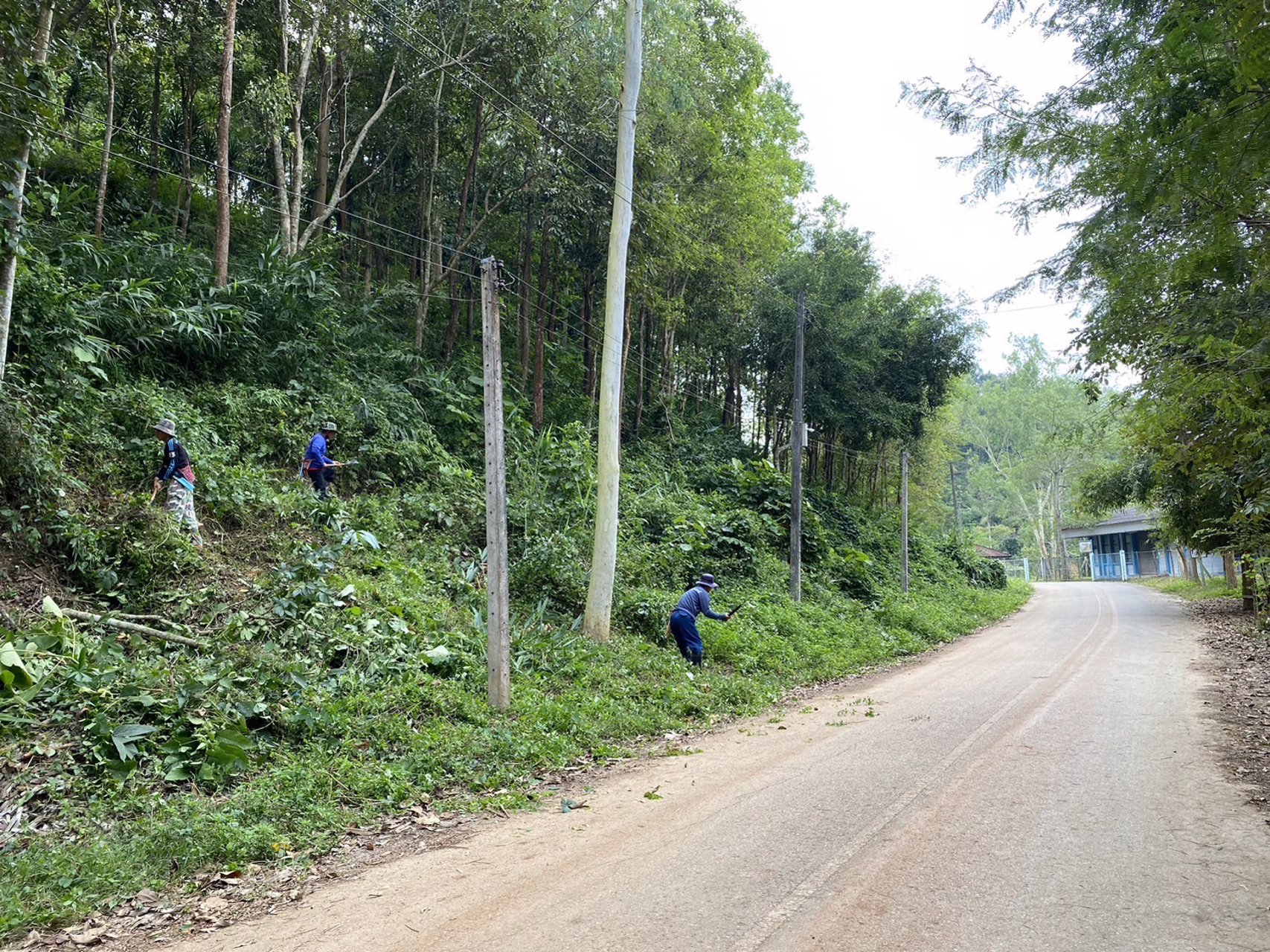 ที่ดินเนินวิวอ่างเก็บน้ำห้วยไคร้-อแม่สาย-ทางขึ้นดอยตุง-จเชียงราย