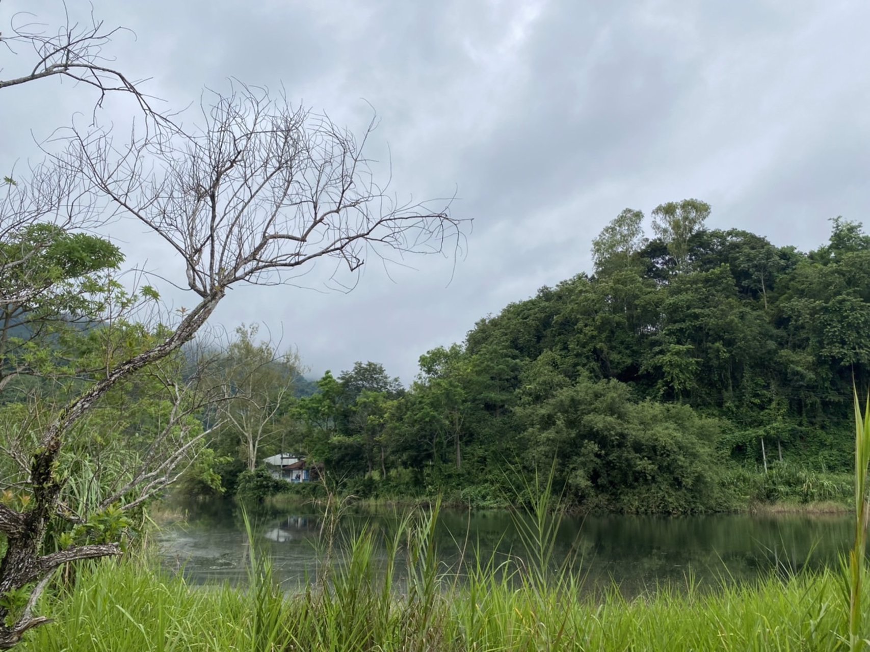 ที่ดินเนินวิวอ่างเก็บน้ำห้วยไคร้-อแม่สาย-ทางขึ้นดอยตุง-จเชียงราย