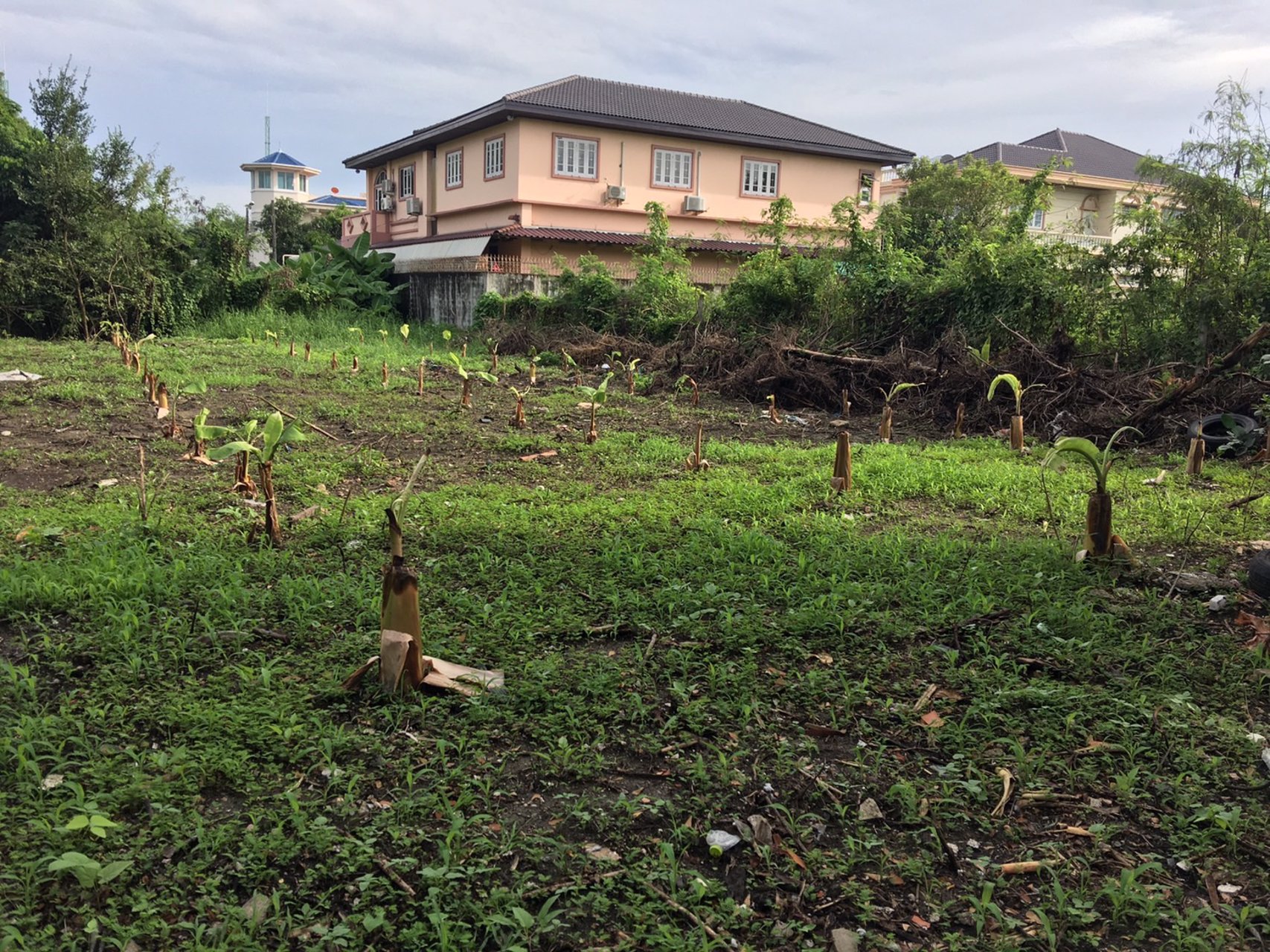 เพชรเกษม-ซอย-64-บางแค-195-ตารางวา-ขายด่วน-เจ้าของร้อนเงิน-