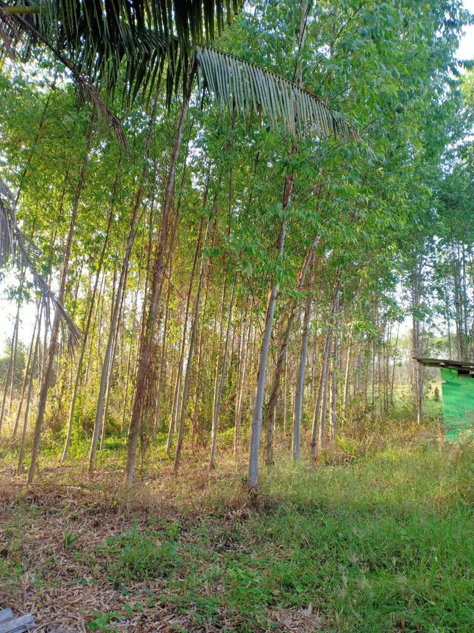 ขายบ้านพร้อมที่ดิน-น่าอยู่มว๊าก-สำหรับ-วัยทำงานและวัยเกษียณ