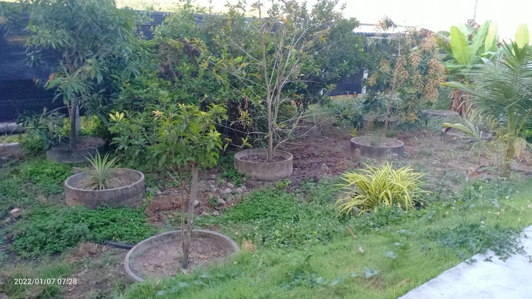 ขายบ้านพร้อมที่ดิน-น่าอยู่มว๊าก-สำหรับ-วัยทำงานและวัยเกษียณ