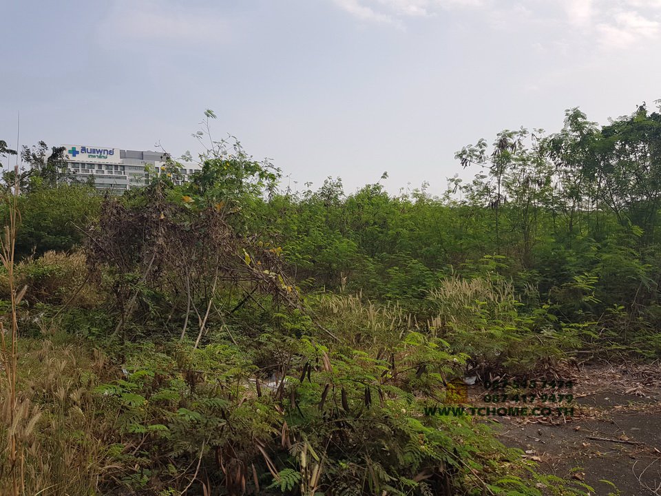 ขายที่ดินเปล่า-18ไร่เศษ-ติดถนนเทพารักษ์-กม55-ใกล้โรงพยาบาลสินแพทย์-ทำเลดี