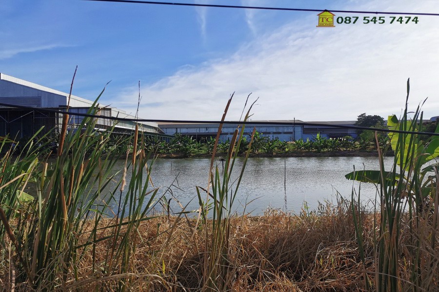 ขายที่ดิน-21-ไร่-ซอยวัดบางปลา-บางปลา-24-อยู่ติดถนนซอยหลัก-เข้าจากเทพารักษ์-เพียง-1-กม