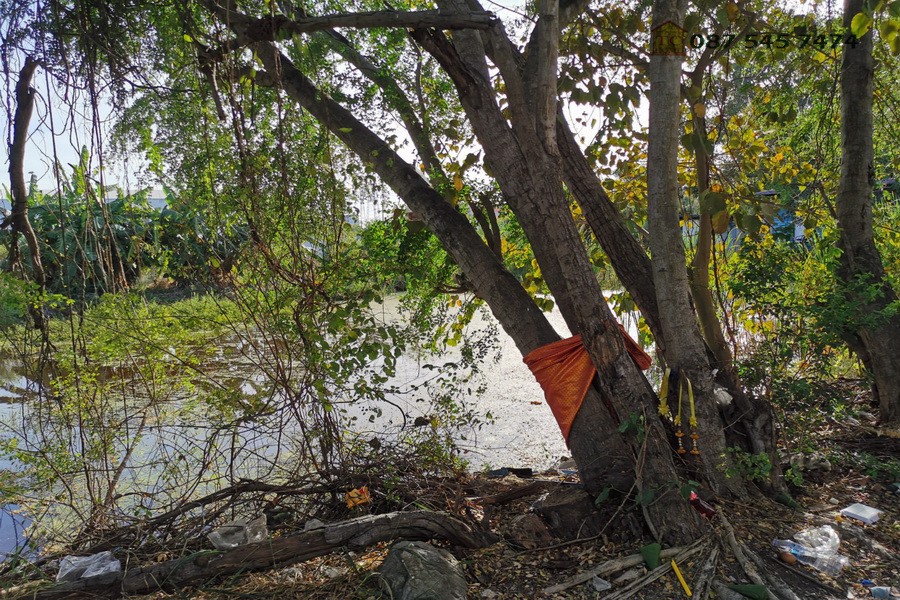 ขายที่ดิน-21-ไร่-ซอยวัดบางปลา-บางปลา-24-อยู่ติดถนนซอยหลัก-เข้าจากเทพารักษ์-เพียง-1-กม