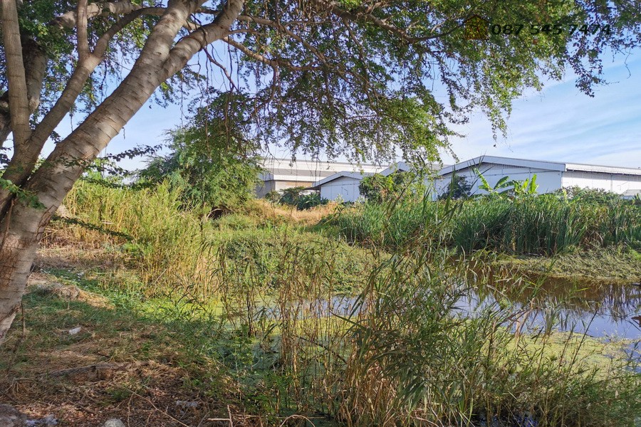 ขายที่ดิน-21-ไร่-ซอยวัดบางปลา-บางปลา-24-อยู่ติดถนนซอยหลัก-เข้าจากเทพารักษ์-เพียง-1-กม