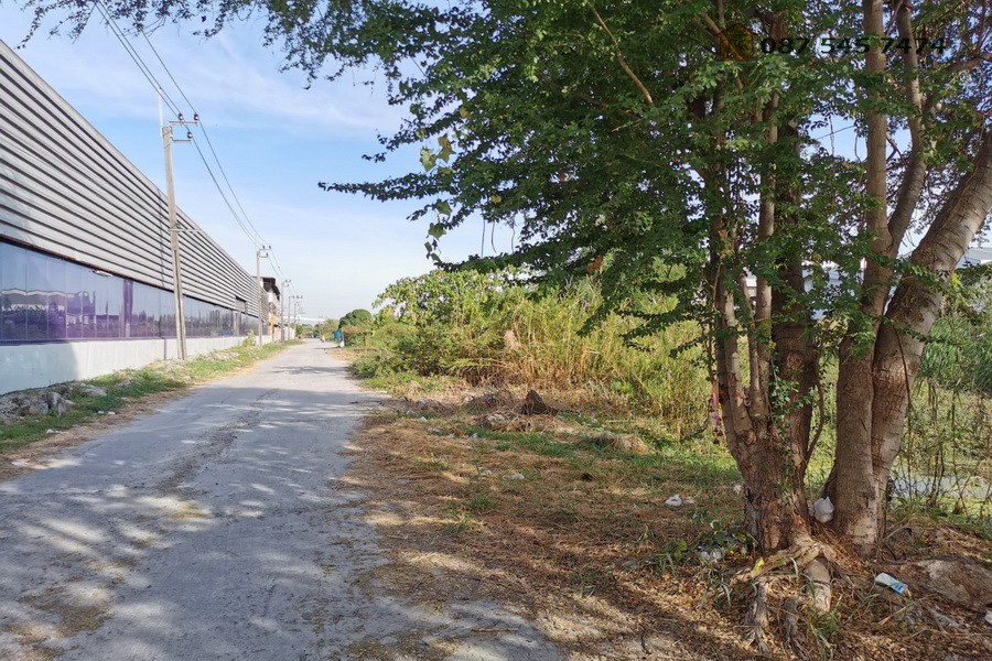 ขายที่ดิน-21-ไร่-ซอยวัดบางปลา-บางปลา-24-อยู่ติดถนนซอยหลัก-เข้าจากเทพารักษ์-เพียง-1-กม