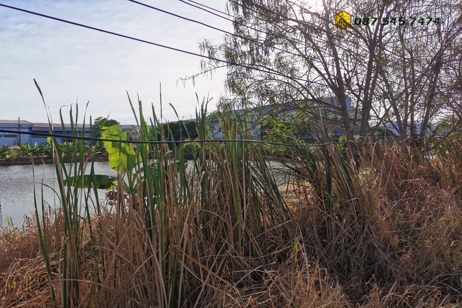 ขายที่ดิน-21-ไร่-ซอยวัดบางปลา-บางปลา-24-อยู่ติดถนนซอยหลัก-เข้าจากเทพารักษ์-เพียง-1-กม