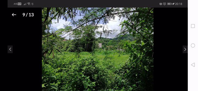 ขายที่ดินเปล่าติดถนนรัษฎานุสรณ์-กู้กู-อเมือง-จภูเก็ต-เนื้อที่-228-ตรว-ราคา-168-ล้าน