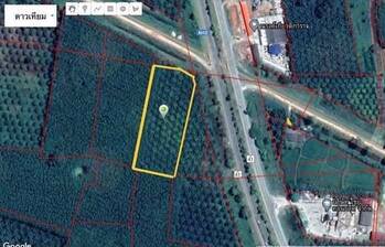 ขายที่ดินพร้อมสวนปาล์ม-เนื้อที่-4-ไร่-3-งาน-81-ตาราวา-ราคาไร่ล-ะ18-ล้าน-ติดถนนเอเซีย-ใกล้แยกป่าเว-อ