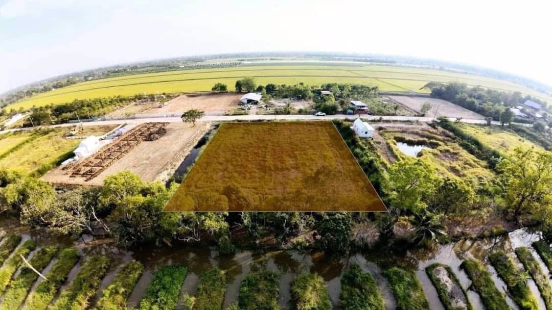 ขายด่วนคลอง9-ที่ดินถมแล้ว-2-0-70-ไร่