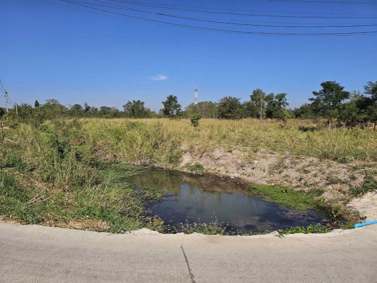 ขายที่ดินติดน้ำติดถนนคอนกรีต-ชำผักแพว-อำเภอแก่งคอย-สระบุรี