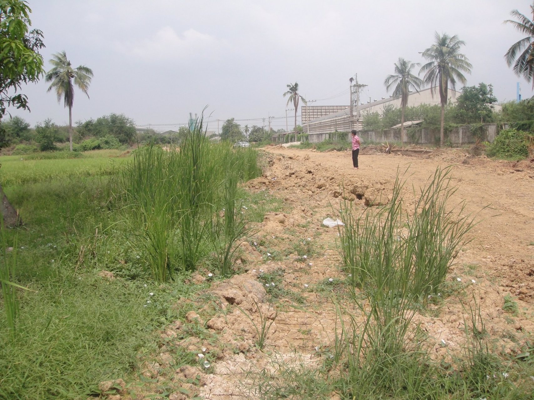 ที่ดินถมแล้ว-7-2-567-ไร่-ติดถนนทั้งหน้าและหลัง-หน้าติดถนนมาลัยแมนกว้าง-60-เมตร-หลังติดถนนซอย