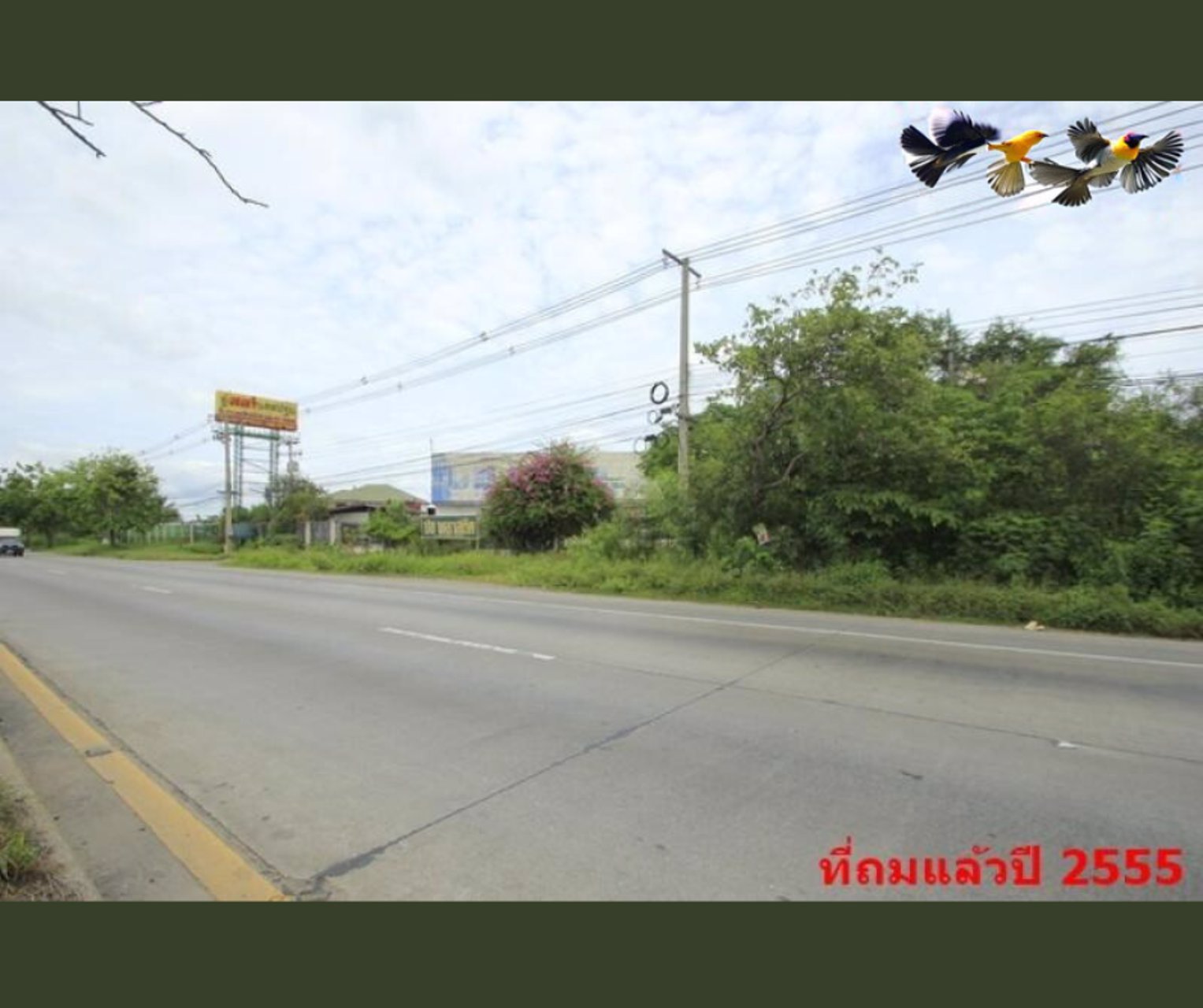 ที่ดินถมแล้ว-7-2-567-ไร่-ติดถนนทั้งหน้าและหลัง-หน้าติดถนนมาลัยแมนกว้าง-60-เมตร-หลังติดถนนซอย