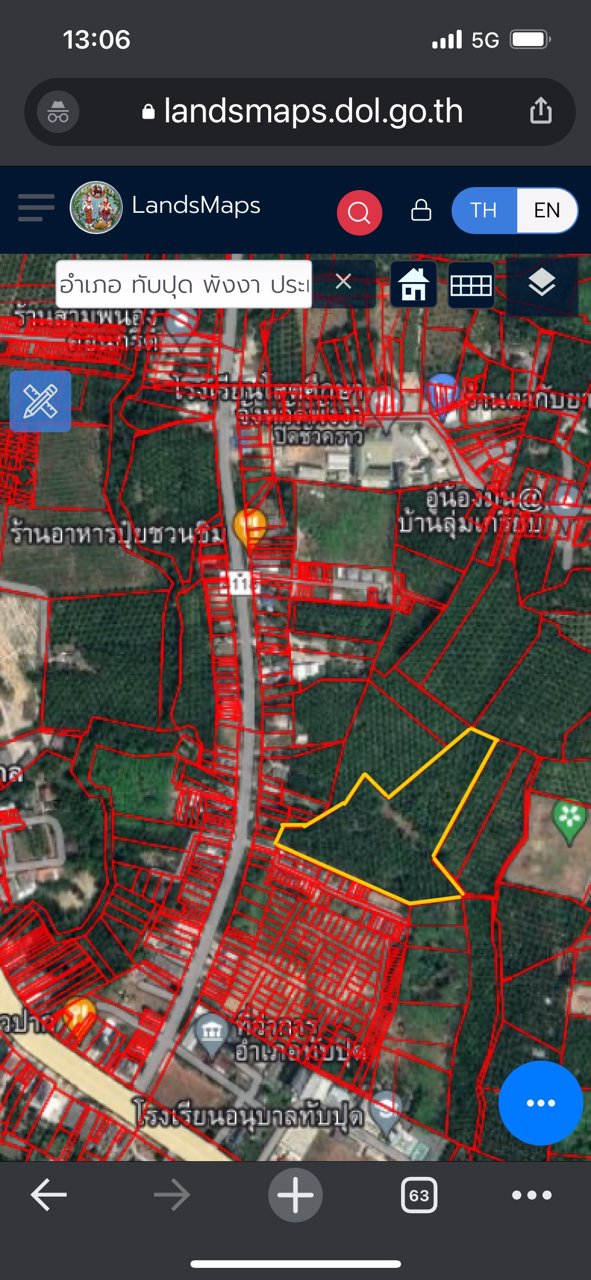 ขายที่ดิน-สวนปาล์ม-15-ไร่กว่า-อ-ทับปุด-จ-พังงา