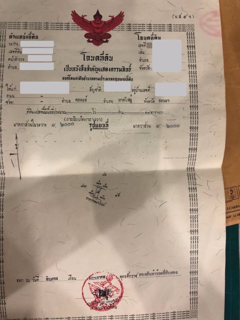 ขายที่ดิน-สวนปาล์ม-15-ไร่กว่า-อ-ทับปุด-จ-พังงา