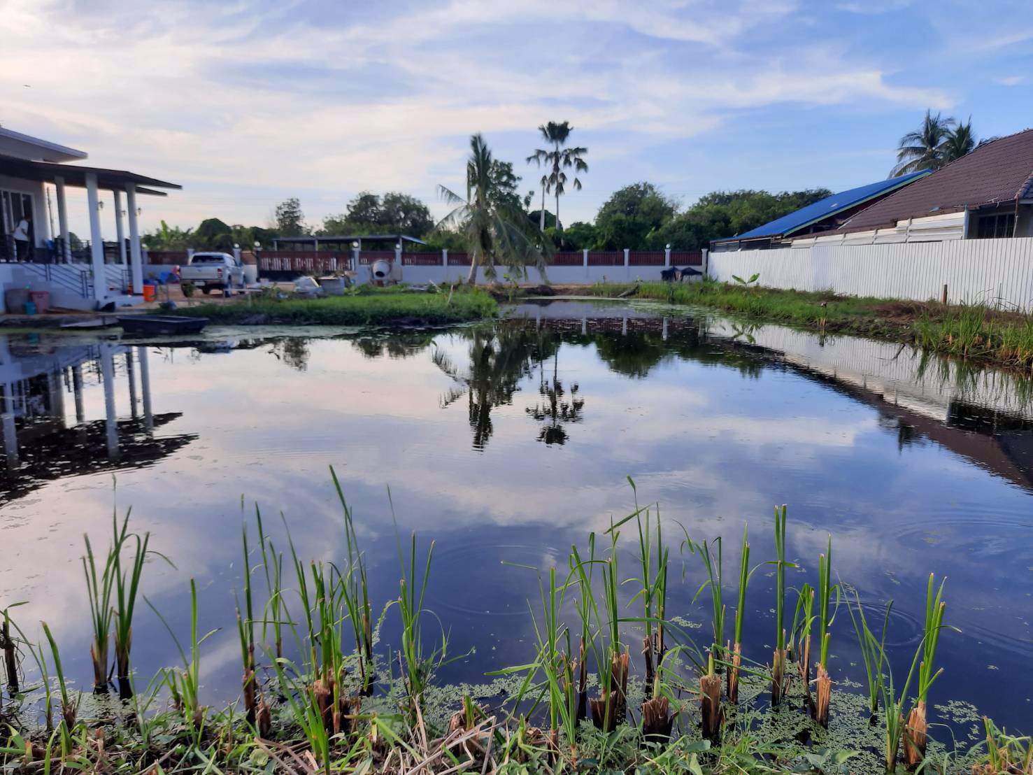 ขายบ้านเดี่ยว-เนื้อที่-1-1-195-ตรว-2-ห้องนอน-2-ห้องน้ำ