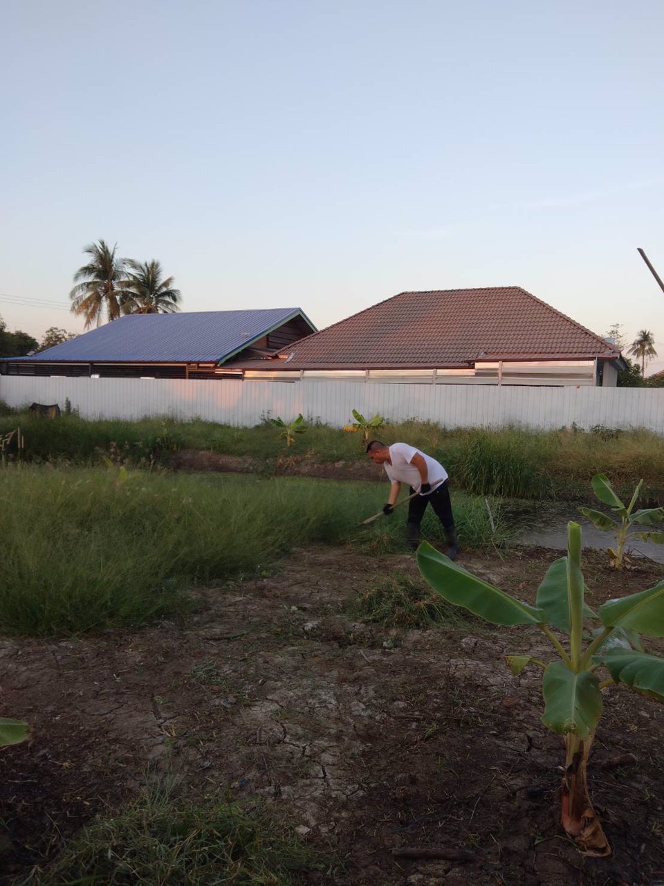 ขายบ้านเดี่ยว-เนื้อที่-1-1-195-ตรว-2-ห้องนอน-2-ห้องน้ำ