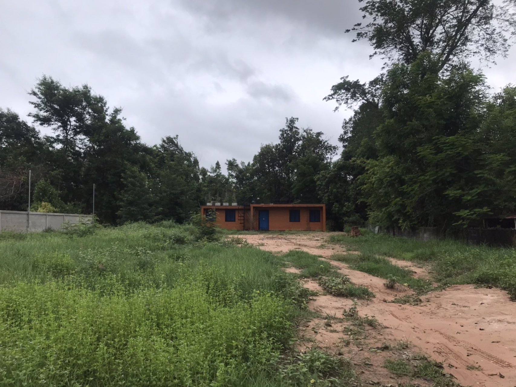 ขายที่ดินโฉนด-ไม่รวมออฟฟิศ-เนื้อที่-3งาน-9ตรว-ติดถนนสาธารณะ-อำเภอพยัคฆภูมิพิสัย-ทำเลดี-ใกล้รีสอร์