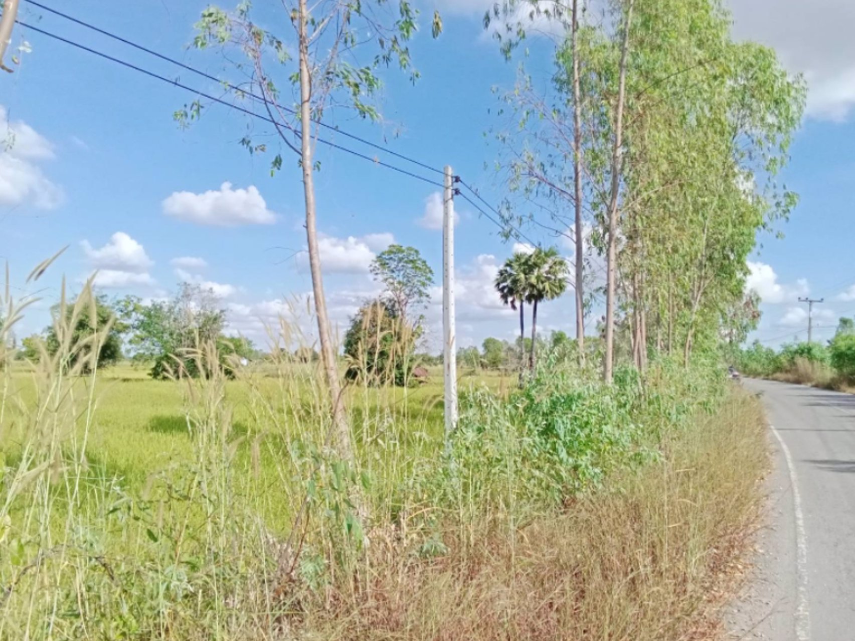 ด่วนลดราคา-ขายที่ดินสวยเหมาะทำโคกหนองนา-อเมือง-จร้อยเอ็ด