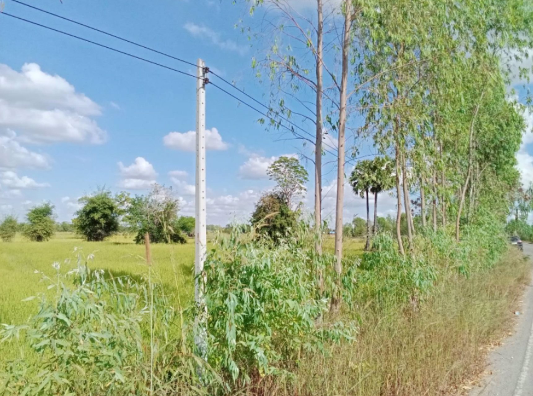 ด่วนลดราคา-ขายที่ดินสวยเหมาะทำโคกหนองนา-อเมือง-จร้อยเอ็ด