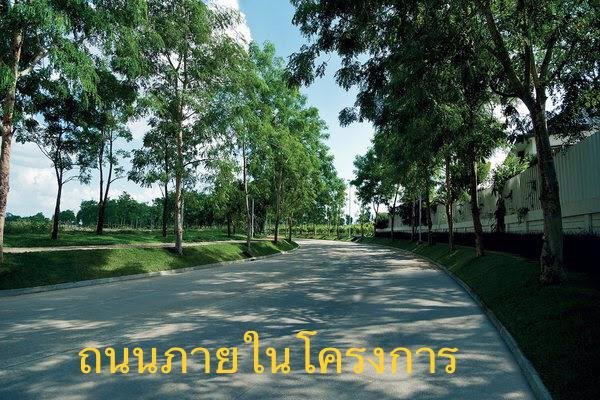 ขาย-condo-โครงการ-land-and-house-at-serene-lake-north-1-condo-ชั้น-5-ห้องมุม-เชียงใหม่