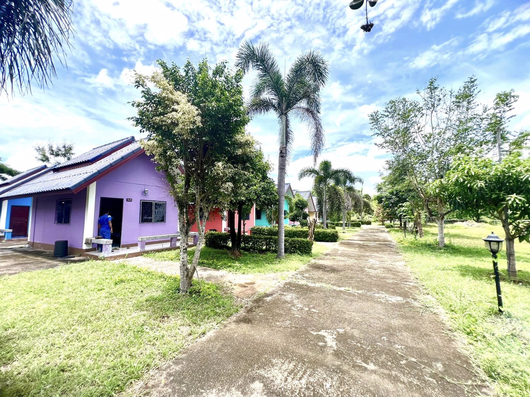 ขายด่วน-ที่ดินพร้อมสิ่งปลูกสร้าง-บนเนื้อที่-2-ไร่