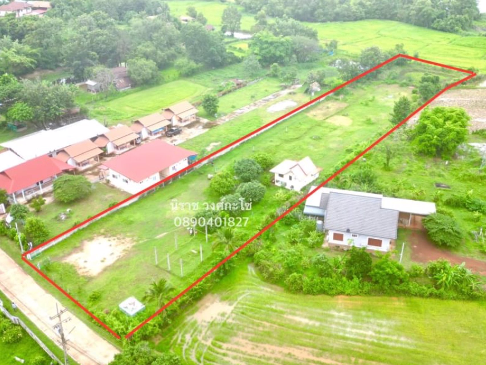 ขายด่วน-บ้านพร้อมที่ดิน-ตำบลบ้านแก้ง-พื้นที่-2-3-30ไร่-โฉนด-นส4จ-2-ใบ