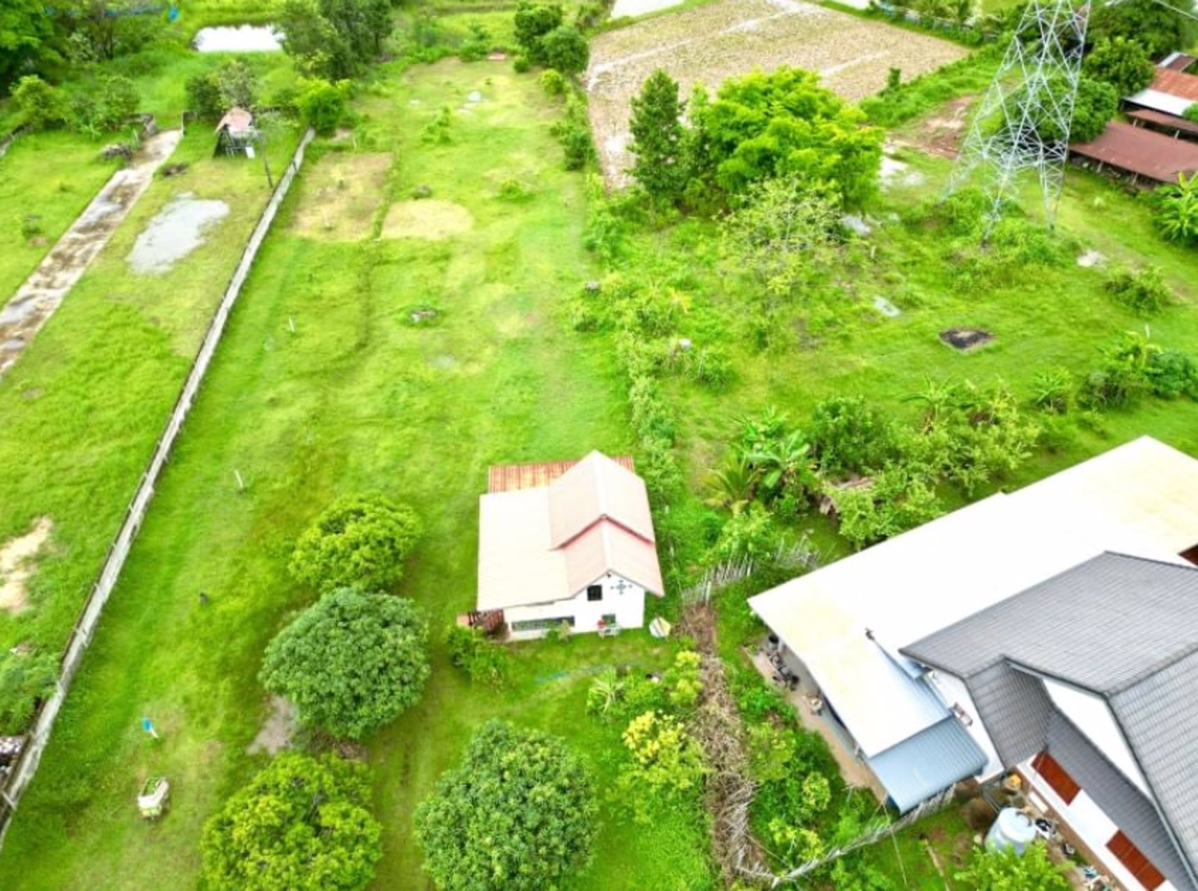 ขายด่วน-บ้านพร้อมที่ดิน-ตำบลบ้านแก้ง-พื้นที่-2-3-30ไร่-โฉนด-นส4จ-2-ใบ