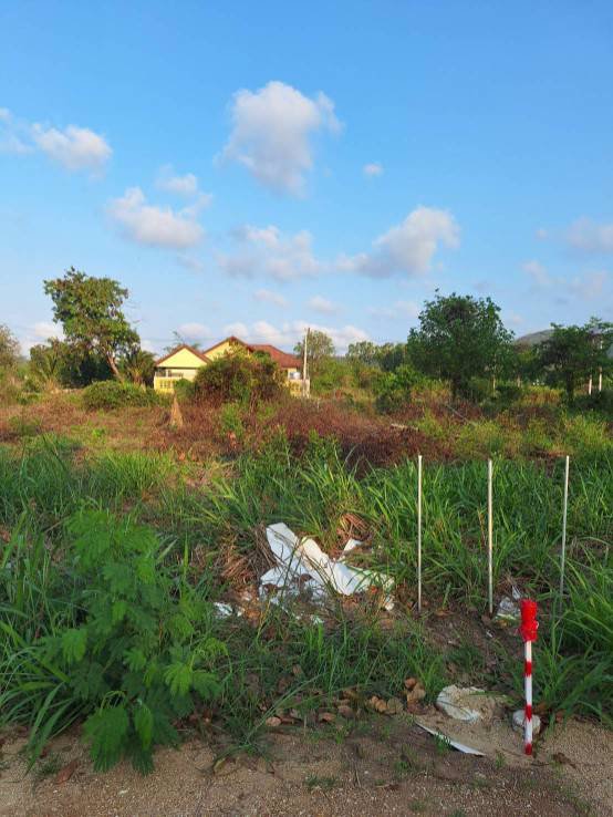 ขายที่ดินเปล่า-สัตหีบ-ชลบุรี-เข้าออกสะดวกได้หลายทาง