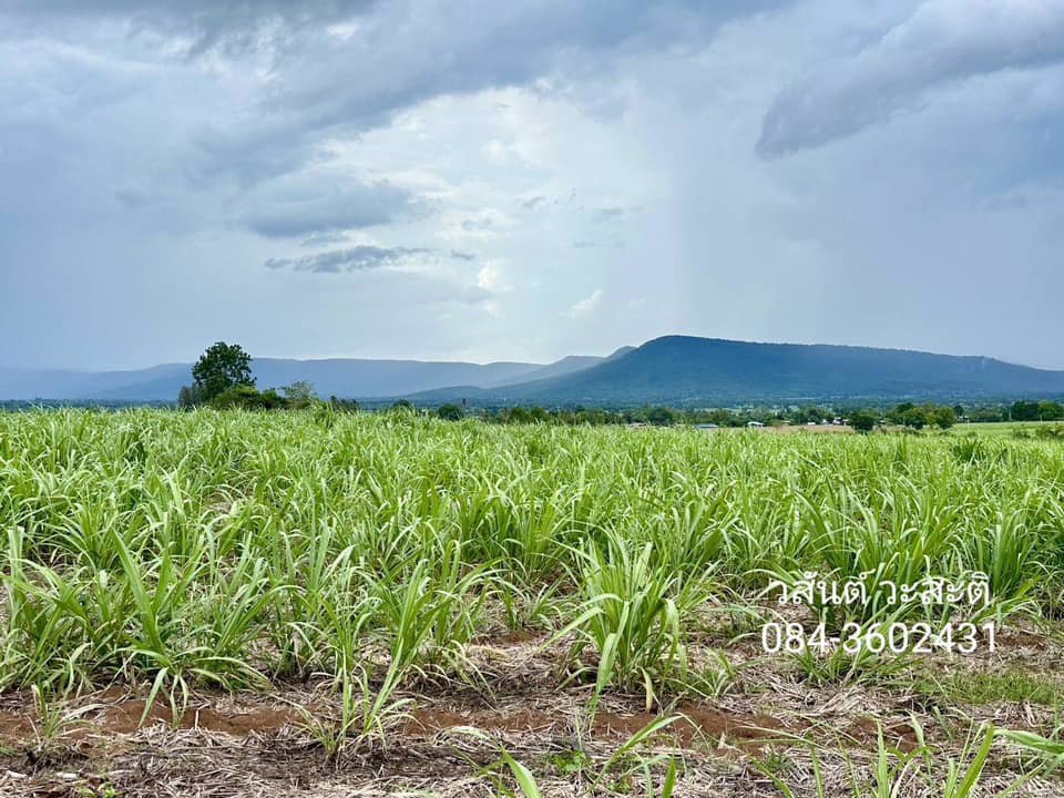 ขายด่วน-ที่ดินปากช่อง-เขาใหญ่