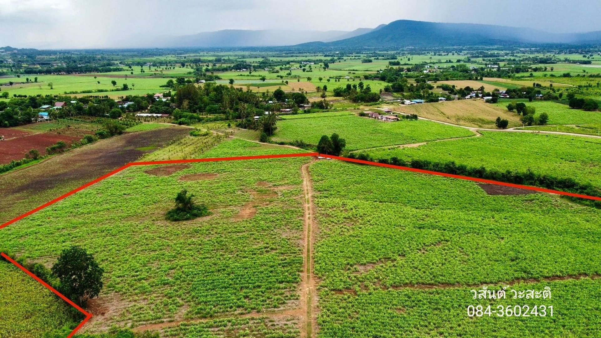 ขายด่วน-ที่ดินปากช่อง-เขาใหญ่