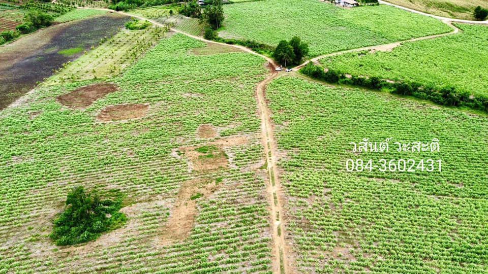 ขายด่วน-ที่ดินปากช่อง-เขาใหญ่