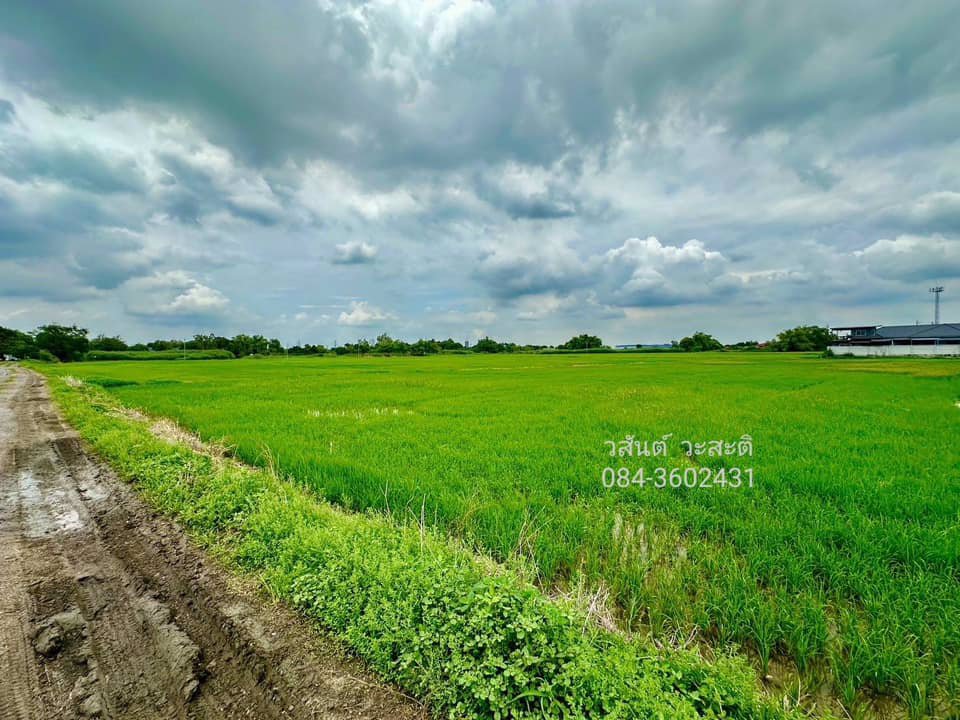 ขายด่วน-ที่ดินโรจนะ-ออุทัย-อยุธยา