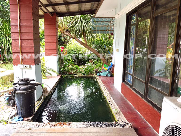 3384-บ้านเดี่ยว-มแมกไม้-ถสุขุมวิท-ตทับมา-อเมือง-จระยอง