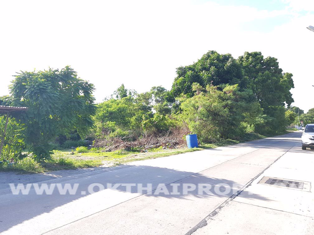3141-ที่ดิน-ถข้าวหลาม-ตบ้านเหมือง-อเมืองชลบุรี