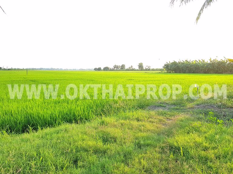 3359-ที่ดิน-ถ346-ปทุม-บางเลน-ไทรน้อย