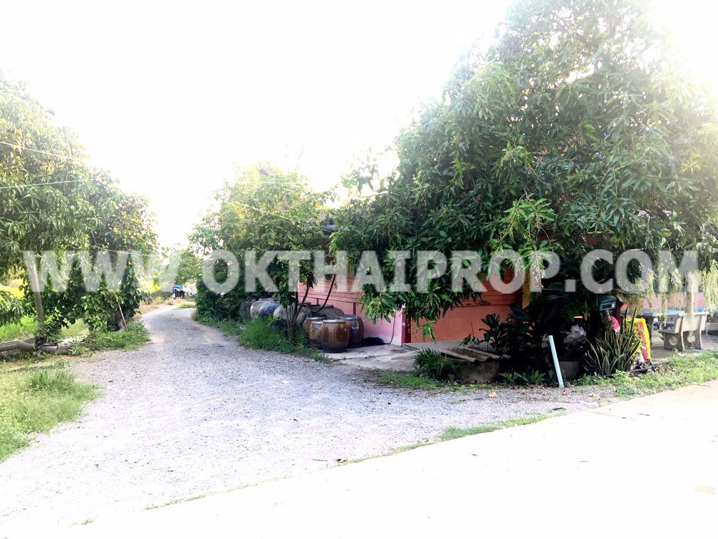 3359-ที่ดิน-ถ346-ปทุม-บางเลน-ไทรน้อย